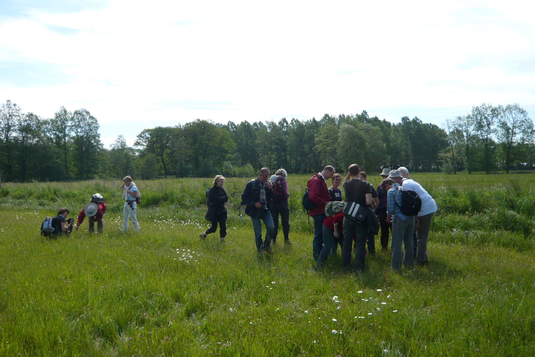 Plantenwerkgroep