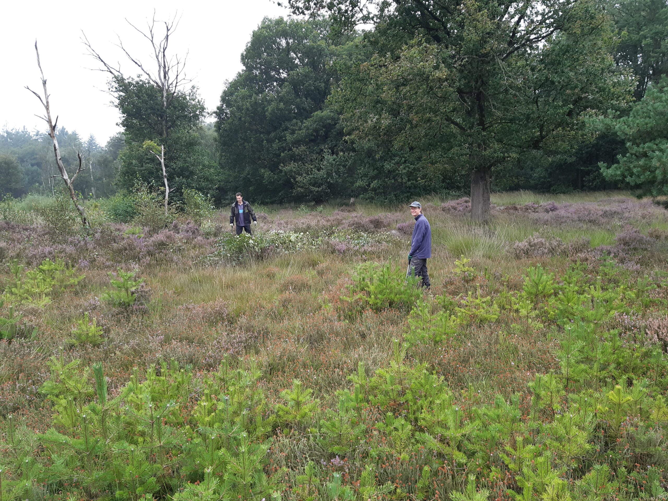 Werkdag Plaggroep