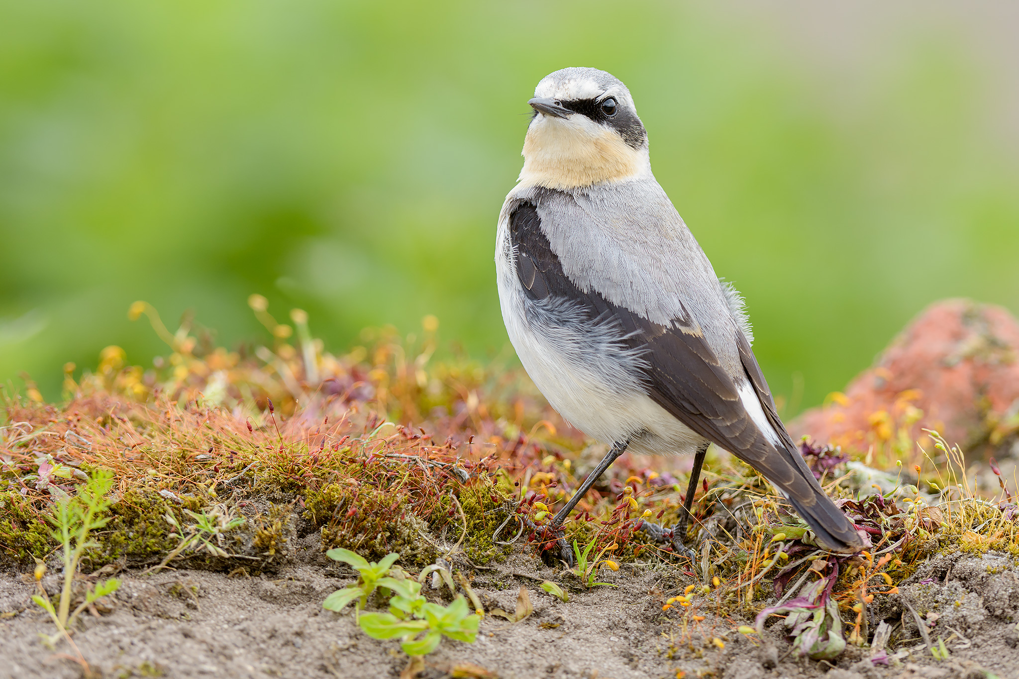 Bezoek aan Landgoed Huis ter Heide